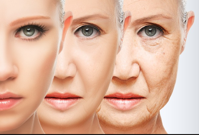 How can I prevent aging skin?